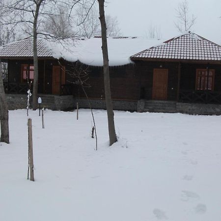 Kish Adasi Шеки Экстерьер фото