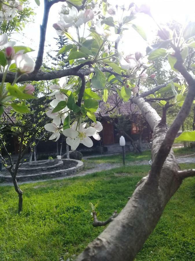 Kish Adasi Шеки Экстерьер фото